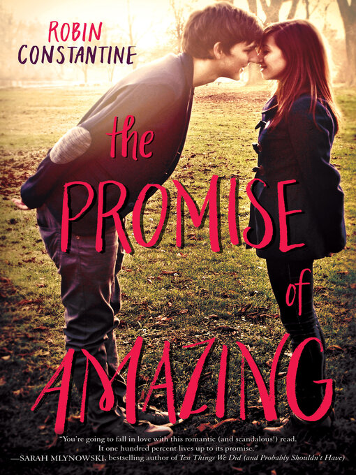 Title details for The Promise of Amazing by Robin Constantine - Wait list